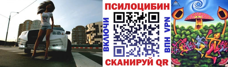 Псилоцибиновые грибы Psilocybine cubensis  Константиновск 